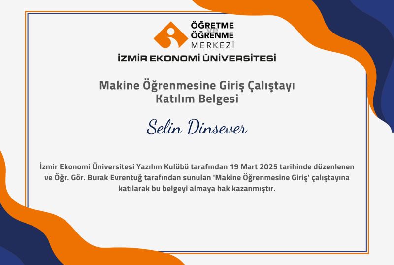 Selin Dinsever Introduction to Machine Learning Workshop